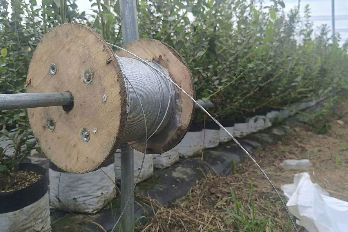 Cable Acerado