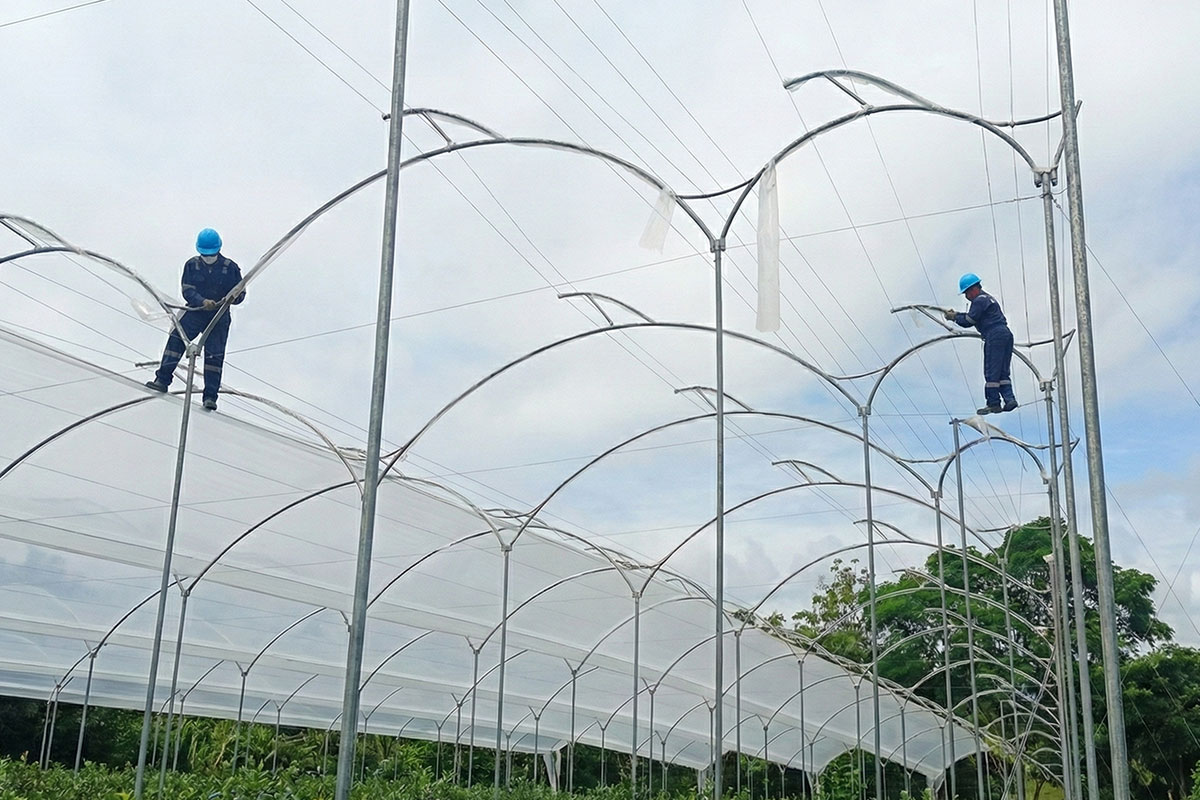 Instalación