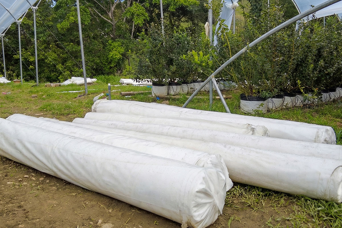 Plástico Agrícola
