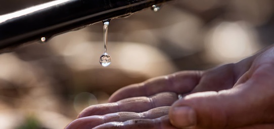 Riego por Goteo