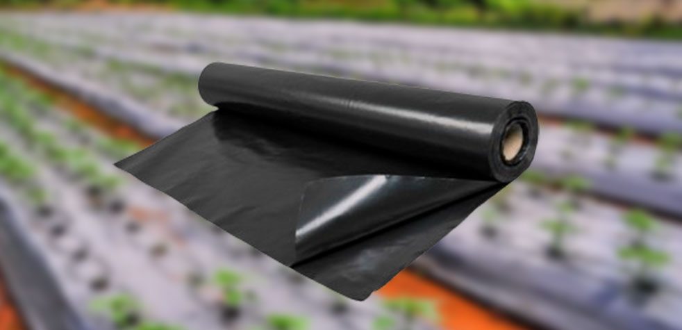 Agromulch Negro