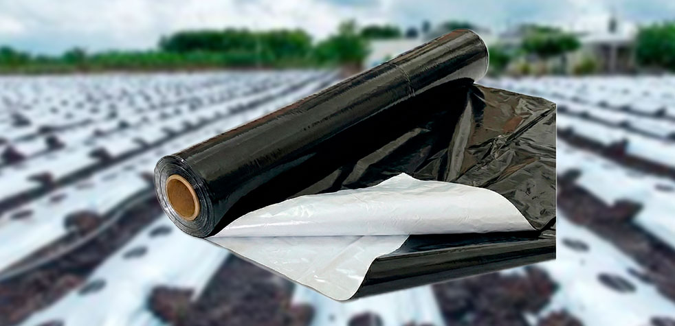 Agromulch Blanco