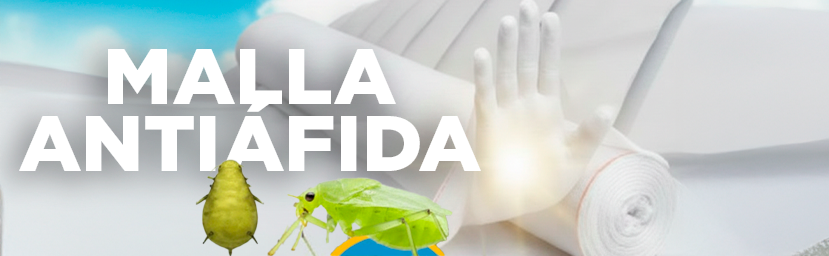 Malla Antiáfida